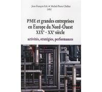 PME et grandes entreprises en Europe du Nord-Ouest XIXe - XXe siècle: activités, stratégies, performances