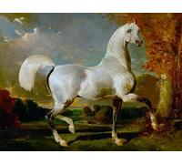 PMEFGJDPE Célèbre Affiche Artistique Images Peintures Arabe StalAnimal par Alfred Dedreux ou De Dreux Art Mural Moderne Pour la Décoration Murale 60x90cm