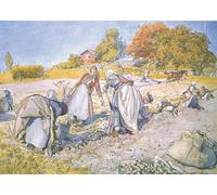 PMEFGJDPE Célèbre Affiche Artistique Images Peintures les enfants ont rempli les seaux et les paniers de pommes de terre par Carl Larsson Art Mural Moderne Pour la Décoration Murale 60x90cm