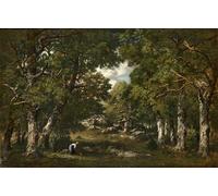 PMEFGJDPE Célèbre Imprimer l'affiche Murale Tableaux Femme Ramassant Du Bois Près D'une Mare En Forêt by Narcisse-virgile Diaz De La Animaux Art Posters Pour la Décoration de Bureau 60x90cm