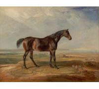 PMEFGJDPE De Célèbres Tableaux Art Mural Toile Affiche de Peinture Dr Syntax un animal de race baie debout dans un paysage côtier par un artiste célèbre Pour la Décoration du Salon 60x90cm