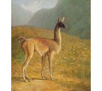 PMEFGJDPE De Célèbres Tableaux Art Mural Toile Affiche de Peinture Guanaco de Jacques Laurent Agasse Tableau d'art Abstrait Pour la Décoration du Salon 60x90cm