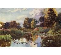 PMEFGJDPE De Célèbres Tableaux Art Mural Toile Affiche de Peinture le lac dans les jardins botaniques de William Matthison Tableau d'art Abstrait Pour la Décoration du Salon 60x90cm