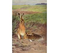 PMEFGJDPE De Célèbres Tableaux Mural sur Toile Posters Décoration Lièvre d'après Wilhelm Kuhnert Portrait Tableaux Pour la Décoration de la Chambre à Coucher 60x90cm