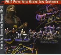 Pmjo - What It is-Electric Miles'dire [Import]