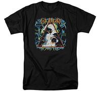 PMNXCVS Def Leppard Hysteria Cover Mens Black T-Shirt (Medium)