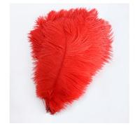 Pmnzdy Plumes d'autruche 10 PCS 15-20cm Plumes de Strass Colorées Plume Naturelle Plumes pour Bricolage DIY Décoration Plumes d'autruche pour Maison Mariage Fête Table Esstisch Carnaval Attrape-rêves