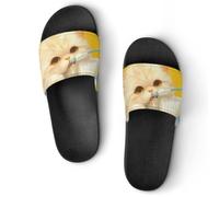 pmoyh Chat qui se brosse les dents Claquettes Unisexe Pantoufles de Bain Antidérapantes Sandales Chaussons de Maison Slide 37
