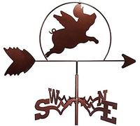 PMYIEXILA Girouette à vent en fonte métallique pour jardin, extérieur, décoration de cour, girouette indiquant la direction du vent, outil de mesure professionnel (Flying Pi