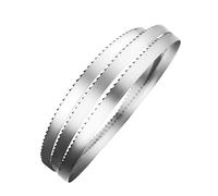 PNAJFUEL Lames de Scie À Ruban, 1 Lame de Scie, Lames de Scie À Ruban Coupant Les Os, Le Poisson Congelé, La Viande./16X0.56Mmx4Tpi/Length 1640Mm