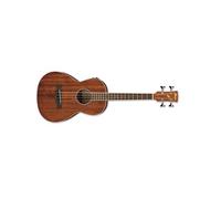 Ibanez Ibanez PNB14E-OPN Acoustic Bass
