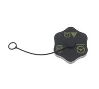 PNBVW Bouchon de réservoir de direction assistée for F//o//r//d F//o//c//u//s M//u//s//t//a//n//g for CROWN V//i//c//t//o//r//i//a EDGE ESCAPE FLEX FREESTAR M//u//s//t//a//n//g, OEM: 8L2Z-3A006-A