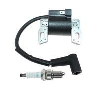 PNESHGTT Bobine d'allumage Compatible avec Les Moteurs Briggs & Stratton Professional 800E, 850E, 850EX, 875EX et 950 (références : 595554, 595959, 592335, 796499, 799645 793449)