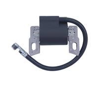PNESHGTT Bobine d'allumage Compatible avec Tondeuse Briggs & Stratton 796499 595554 111P02 111P05 11P902 11P905 11P907 121Q02 121Q06 121Q07 101602 121Q72