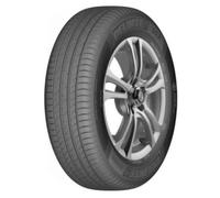 Pneu Delinte DS2 205/40 ZR 17 84 W XL