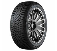 Giti Winter W2 225/45R17 94V XL M+S 3PMSF TL D B 71 B