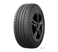 Arivo Ultra ARZ-4 255/40R19 100W XL C B 71 B
