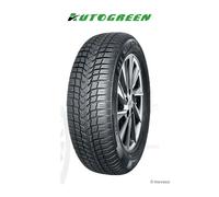 Pneu AUTOGREEN ALL Season Versat AS2 165/60 R 15 81H