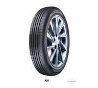 Pneu BLACKARROW Dart P09 185/65 R 14 86H