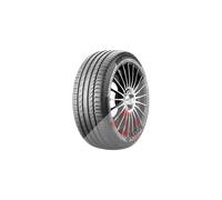 Pneu CONTINENTAL CSPC5 225/50 R 17 94W