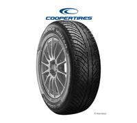 Cooper Pneu hiver Discoverer Winter 205/60 R16 96H XL BSW M+S 3PMSF