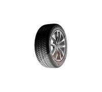 Cooper Discoverer Winter ( 245/40 R19 98V XL )