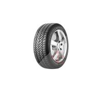 Pneu CST Frigo 2 195/65 R 15 91T 3PMSF