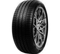 Pneu Delinte Ds2 205/55 Zr17 95 W Xl