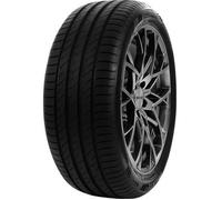 Pneu DELINTE 205/55 ZR17 TL 95W DELINTE DS2 XL