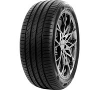 Pneu Delinte DS2 SUV 215/65 R 17 99 V