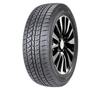 DOUBLESTAR WINTERKING DW02 225/75R15 102T BSW