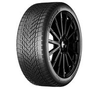 Dunlop Pneu hiver 225/35R19 88W XL 3PMSF M+S D B 71 B