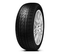 Pneu en 165/65 TR14 TL 79T MILESTONE GREEN4SEASONS, ALL-SEASON PW, F/C/71