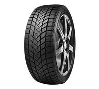 Pneu en 215/55 HR16 TL 97H DELINTE WD1XL, LUXE BANDEN M&S, C/C/74