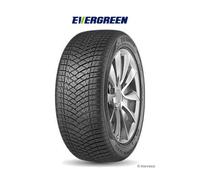 Pneu EVERGREEN Dynacontrol EA721 215/55 R 16 97H XL 3PMSF