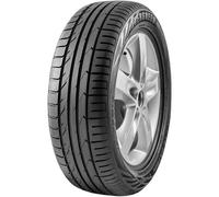Evergreen ES880 235/55R18 104V XL C E 72