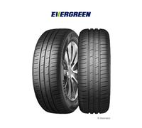 Evergreen Pneus auto DYNACOMFORT EH228 175/70 R14 88T été