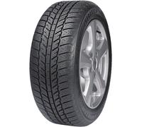 Pneu Evergreen EW62 185/65 R 15 88 T