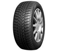 Pneu Evergreen EW62 ( 195/65 R15 95T XL )