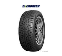 Evergreen Pneus d'hiver EW62 215/60 R16 99H XL M+S 3PMSF