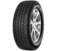Fortuna Tyres Pneu hiver Winter SUV 225/70 R16 103T