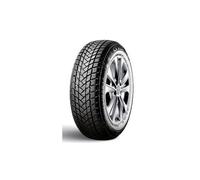 Pneu GT Radial Champiro Winterpro 2 ( 205/60 R16 96H XL )