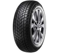 GT Radial WinterPro2 ( 165/70 R14 81T )