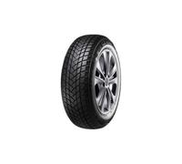 Pneu GT Radial WinterPro2 ( 205/55 R17 95H XL )