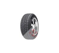 Hankook Pneu hiver Winter i*cept RS (W442) 155/80 R13 79T E D 71 B