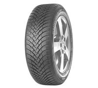 Falken EUROWINTER HS01 RUNFLAT ( 245/50 R18 100H, runflat BLK )