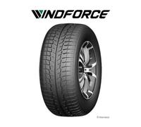Pneu LANDSAIL Catchsnow 205/55 R 16 94 XL