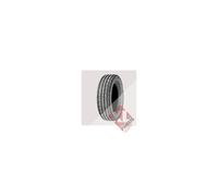 Pneu Michelin TRX 190/55 VR 340 81 V