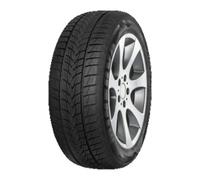 Pneu Minerva Frostrack UHP ( 245/45 R20 103V )