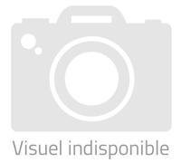 Pneu Moto Continental ContiRoadAttack 4 190/55 R17 75 W Routier